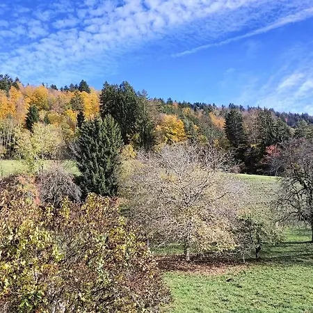 Coeur De Haute-savoie *